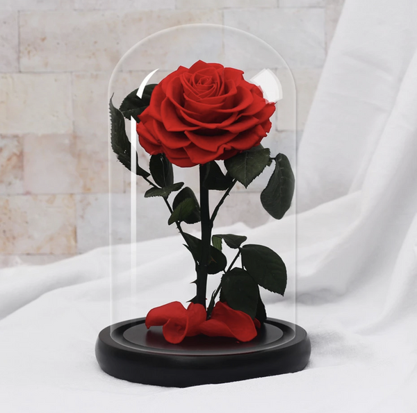 Preserved Roses - Timeless Beauty that Lasts