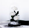 Trio White Preserved Roses
