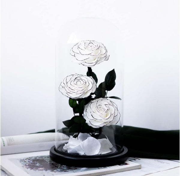 Trio White Preserved Roses