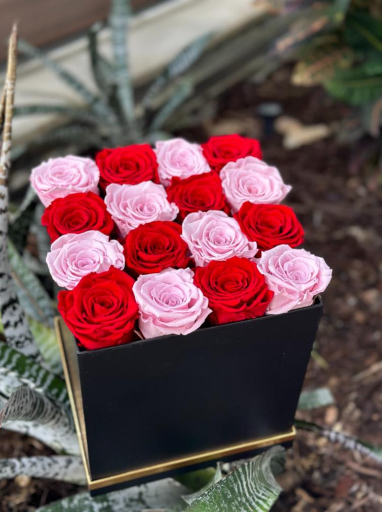 Medium Square Box - Long Lasting Roses