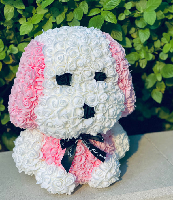 Pink Rose Dog