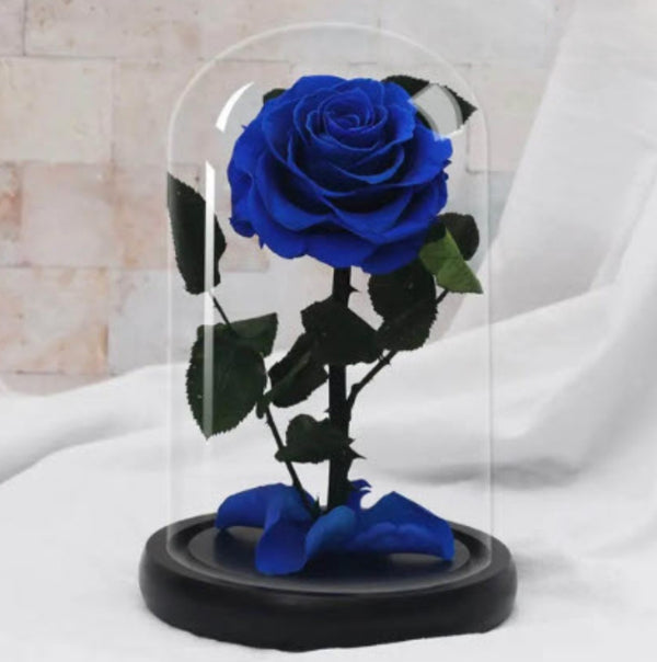 Rose In Dome Blue Preserved Rose