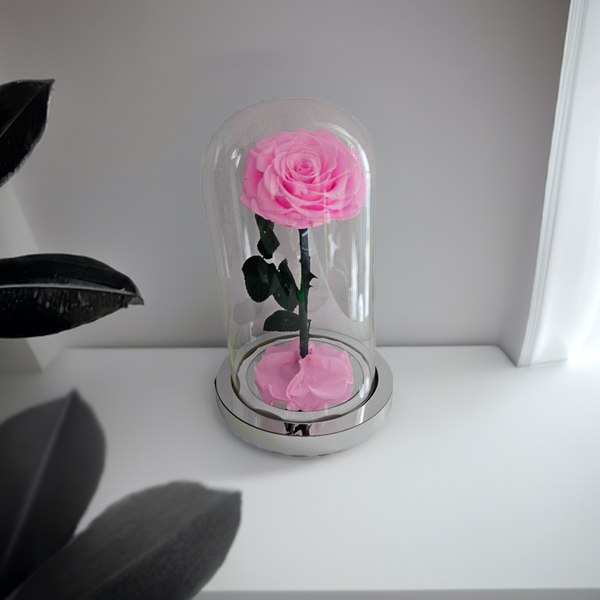 Rose In Dome Pink Preserved Rose