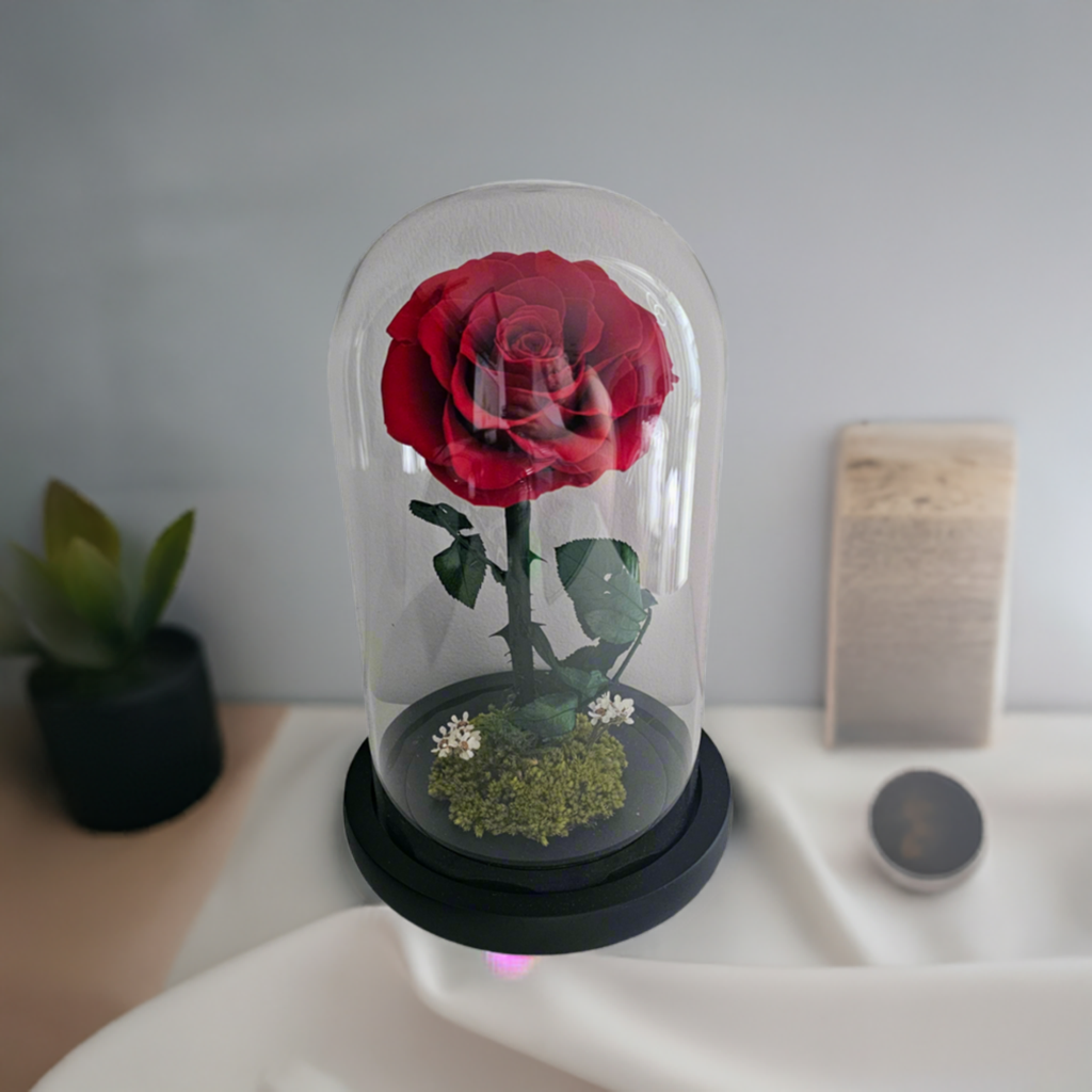 Rose In Dome Red Preserved Rose