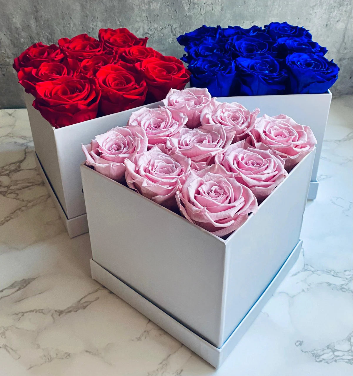 Double click image to zoom in