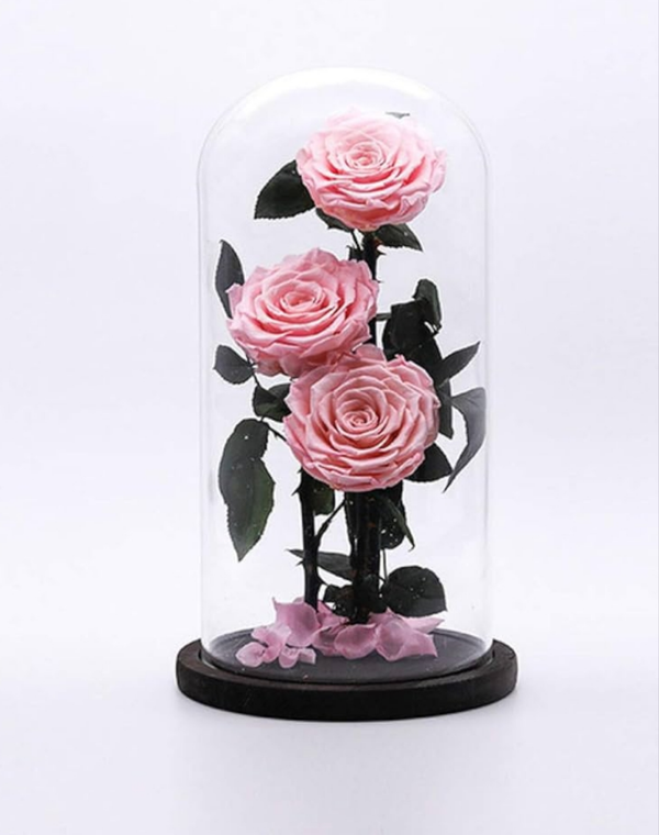 Trio Pink Preserved Roses