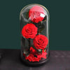 Trio Red Preserved Roses