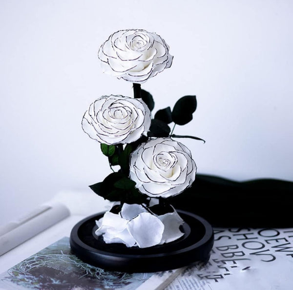 Trio White Preserved Roses