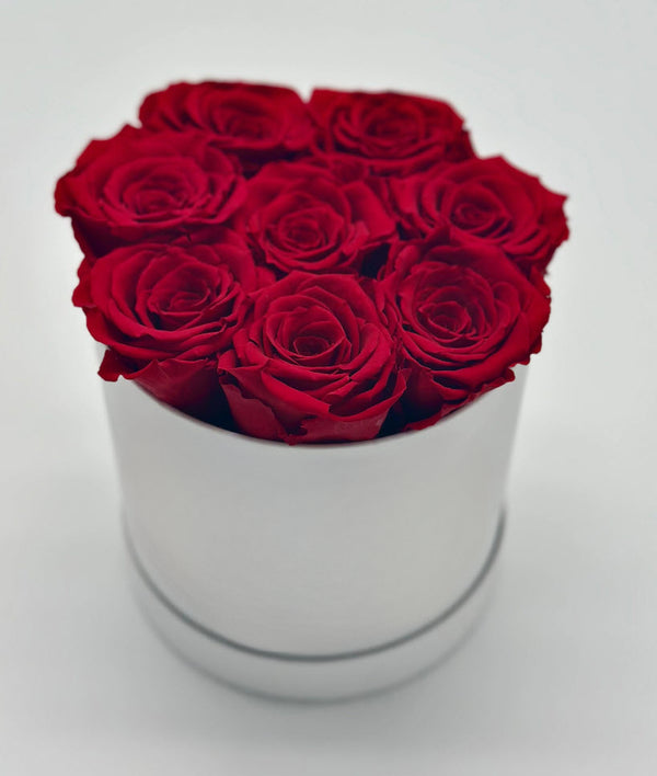 XS White Round Box - Long Lasting Roses