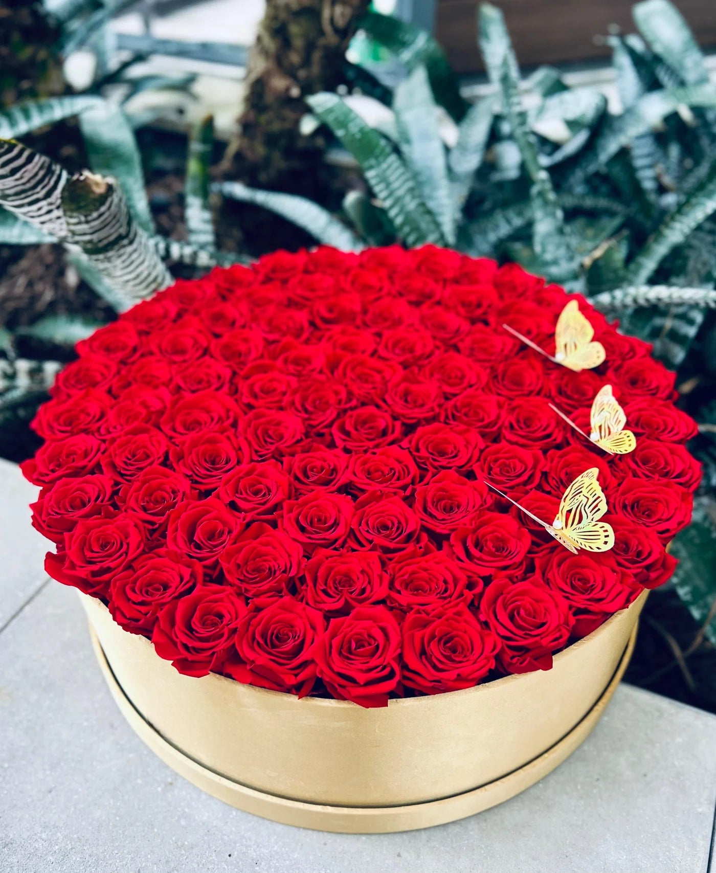 Gigantic Round Box - Long Lasting Roses