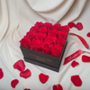 Preserved Rose Square Box - 16