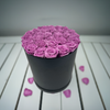 Large Round Box - Long Lasting Roses