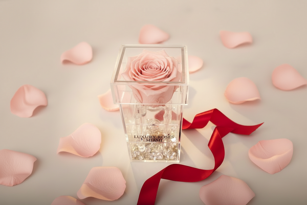 Acrylic Rose Box  - Preserved Single